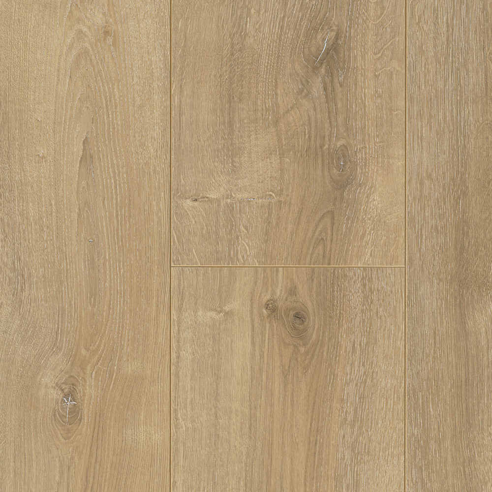 Roble Nova Calizo | Laminado Trendtime 6 Parador | Detalle