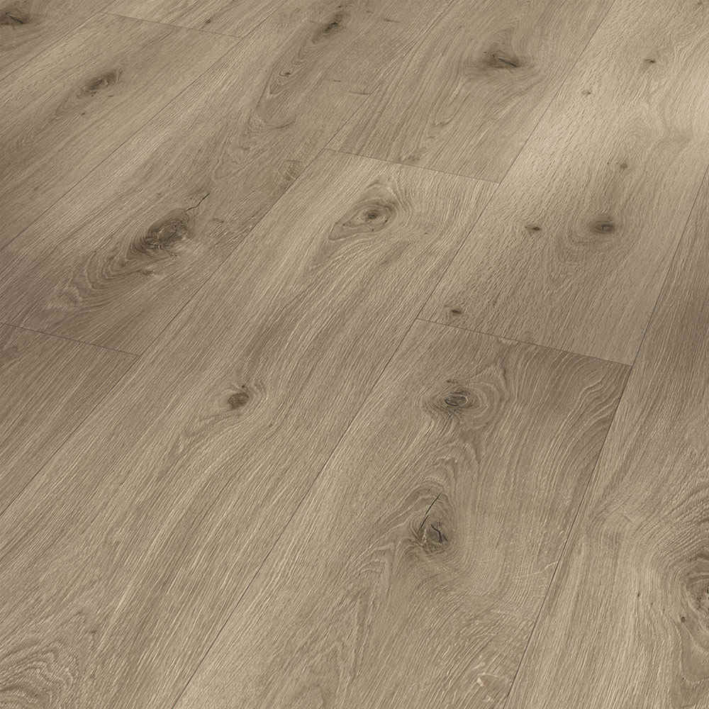 Roble Imperial Macchiato XXL | Vinilo Trendtime 8 Parador